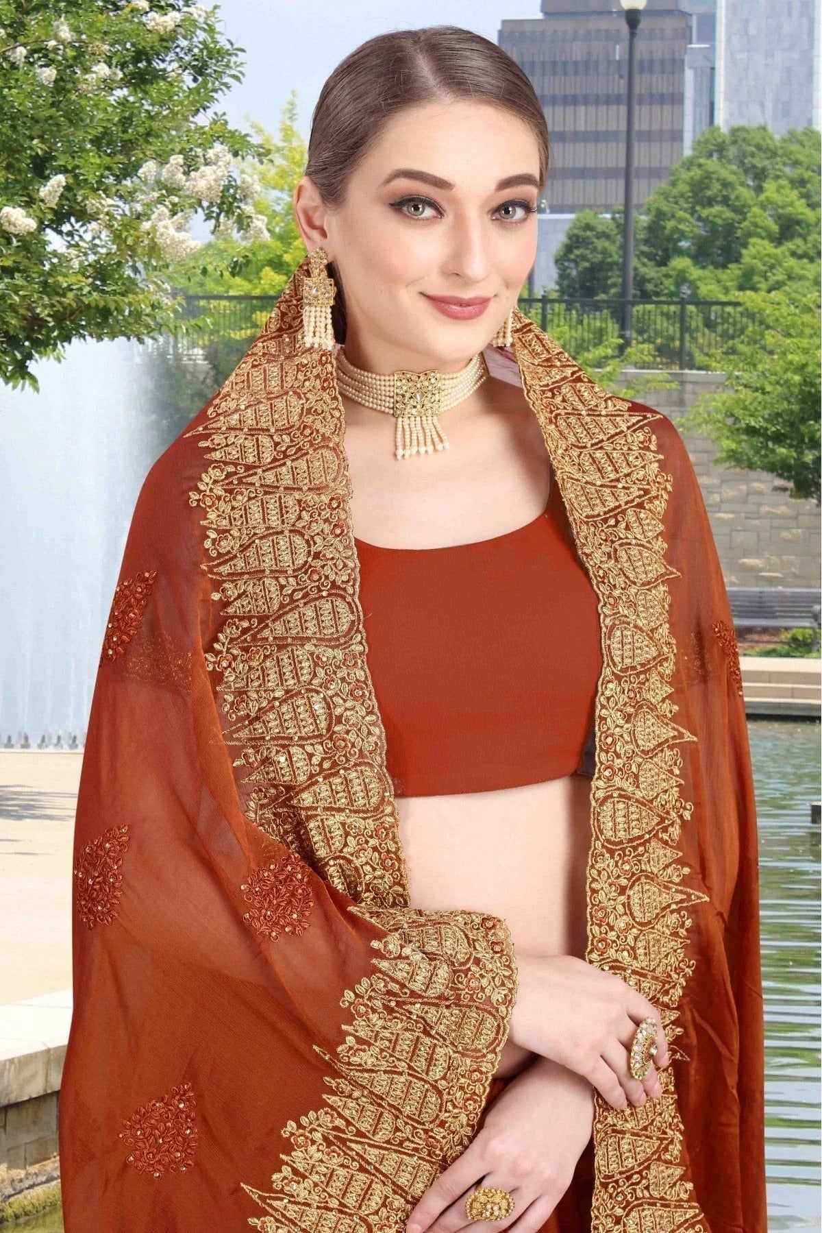 Brown Colour Chiffon Designer Saree SD1120610 A