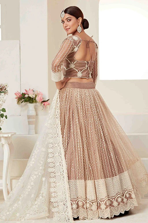 Beige Colour Net Designer Lehenga Choli LC1240022 A