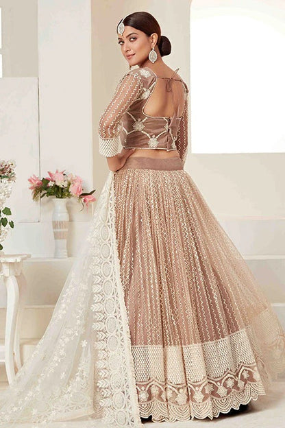 Beige Colour Net Designer Lehenga Choli LC1240022 A