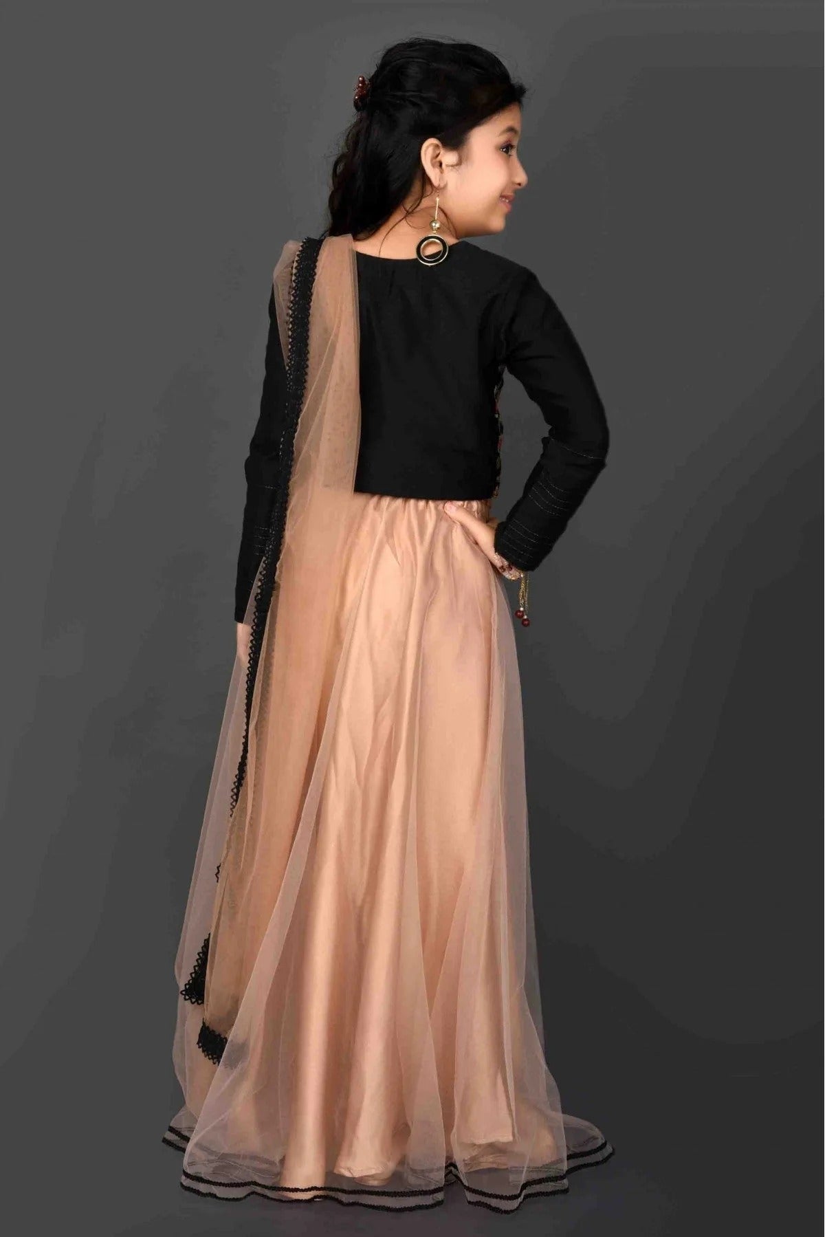 Beige Colour Net Embroidery Lehenga Choli GW1070043 A