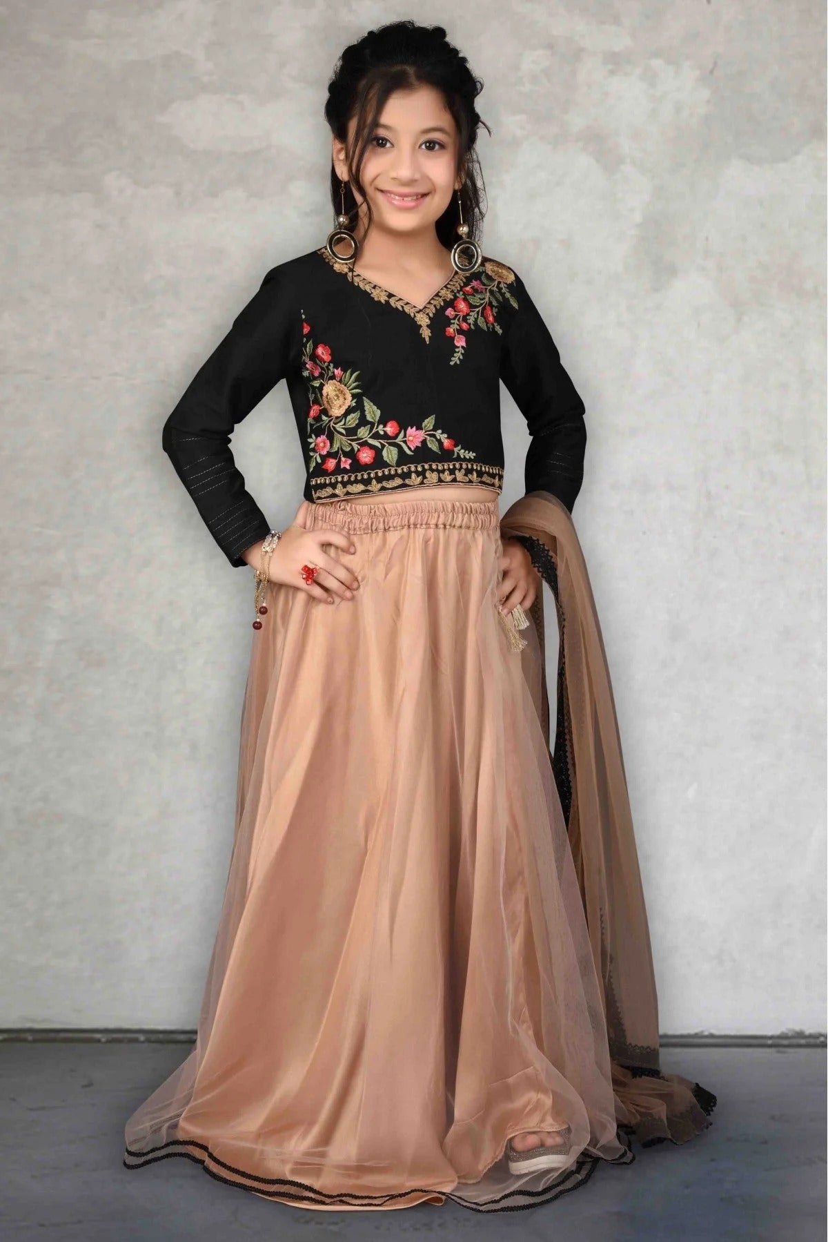 Beige Colour Net Embroidery Lehenga Choli GW1070043