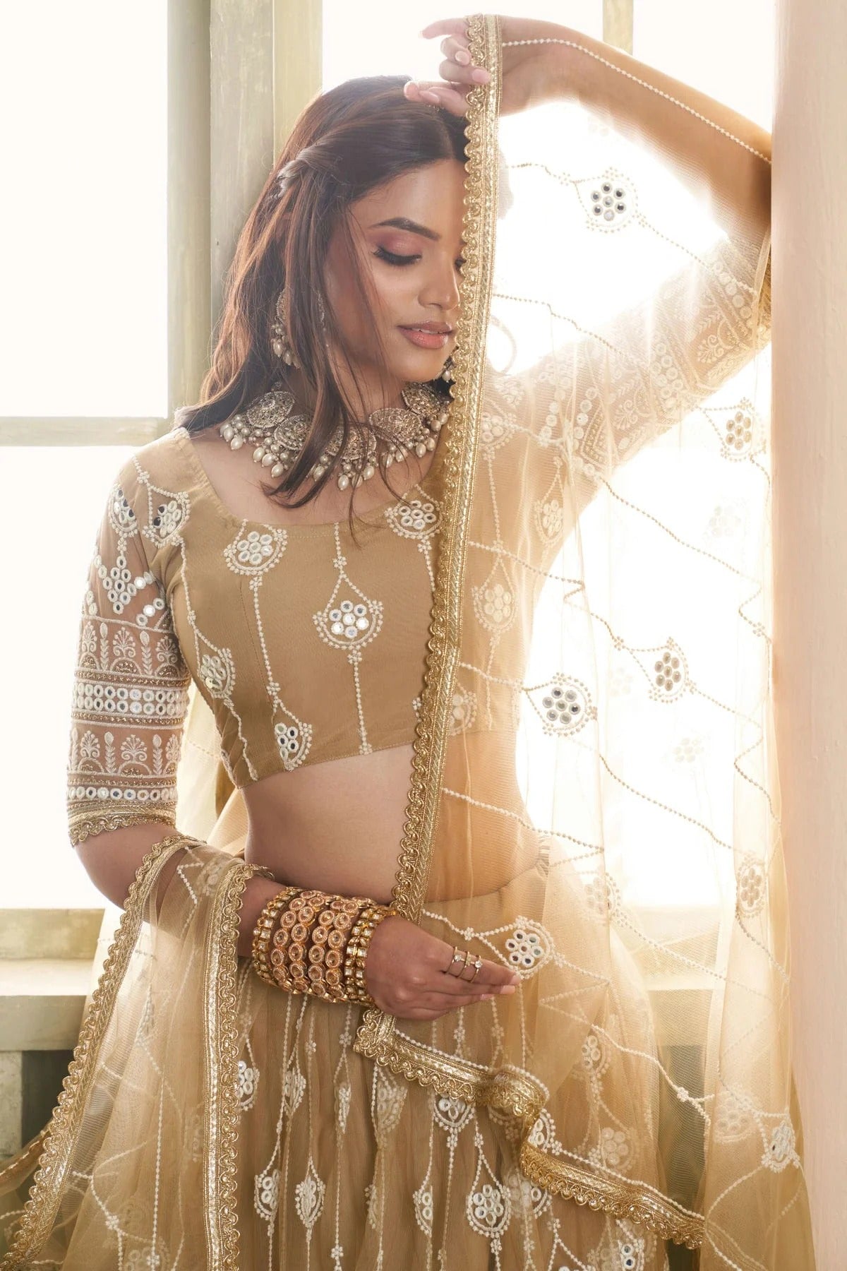 Beige Colour Semi Stitched Butterfly Net Lehenga Choli LC1112530 B