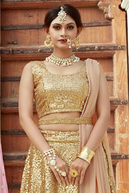 Beige Colour Soft Net Embroidery Lehenga Choli LC1080405 A