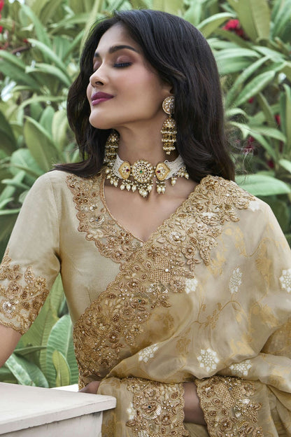 Beige Colour Tissue Silk Designer Saree SD1110959 A