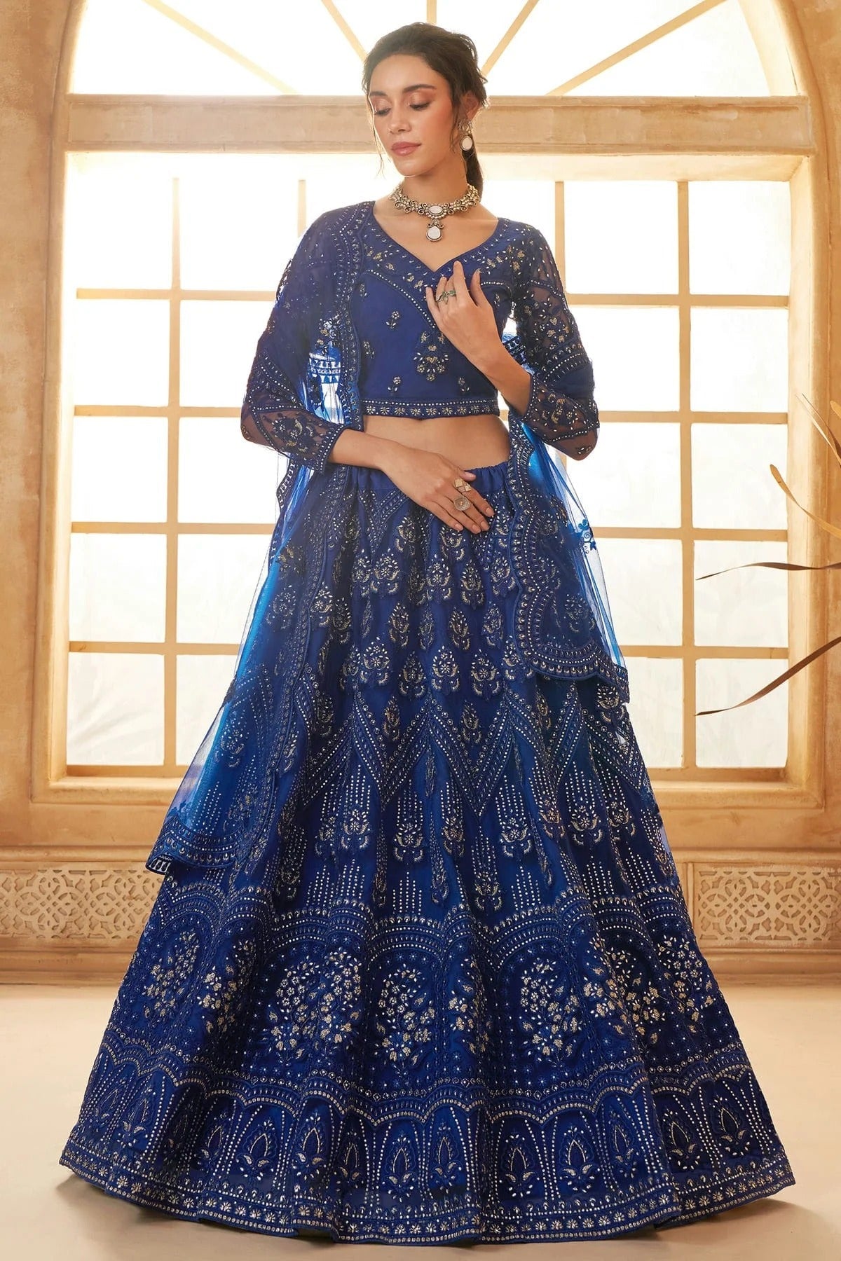 Blue Embroidery Net and SilK Lehenga Choli LC1290153