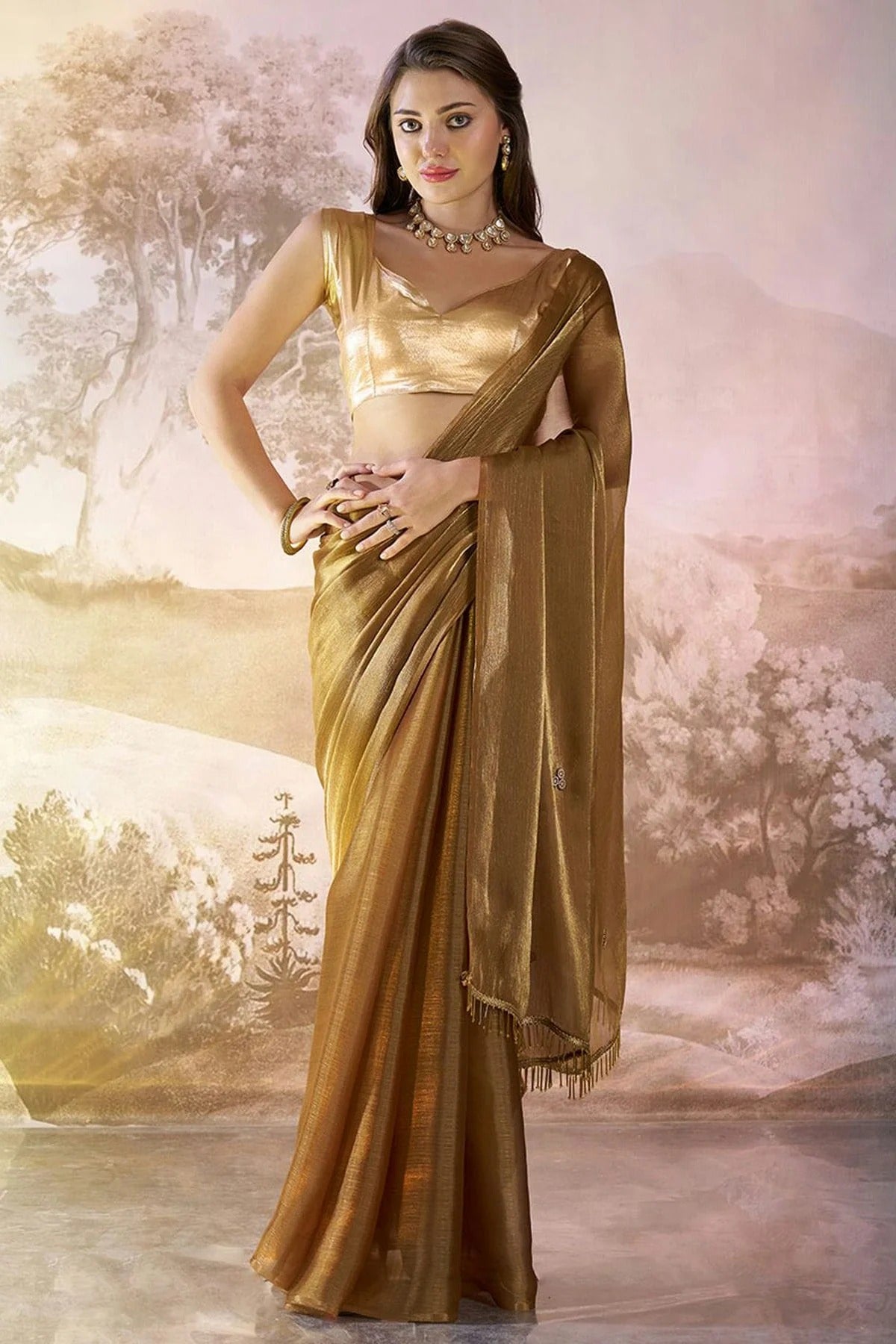 Brown Colour Burberry Organza Saree SD1112724