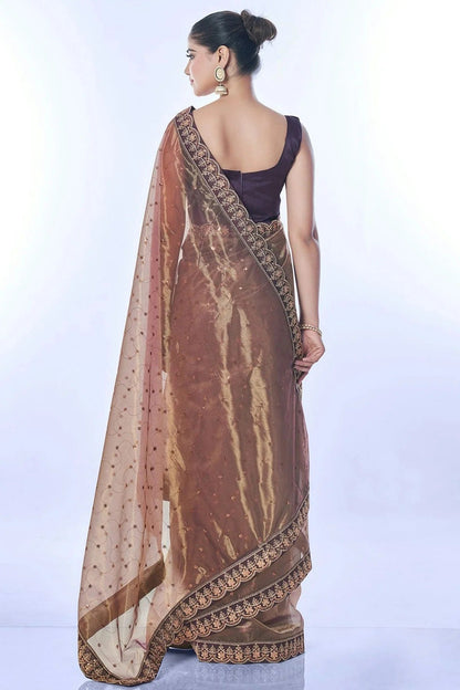 Brown Colour Net Designer Saree SD1111685 A