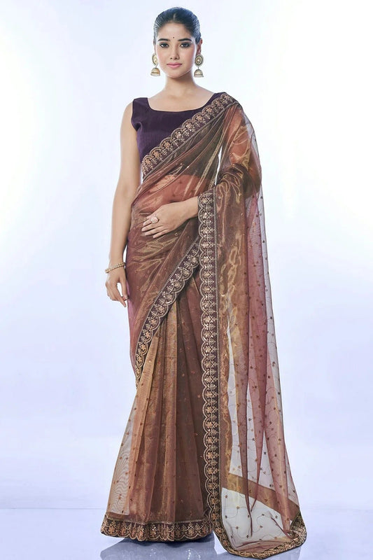 Brown Colour Net Designer Saree SD1111685