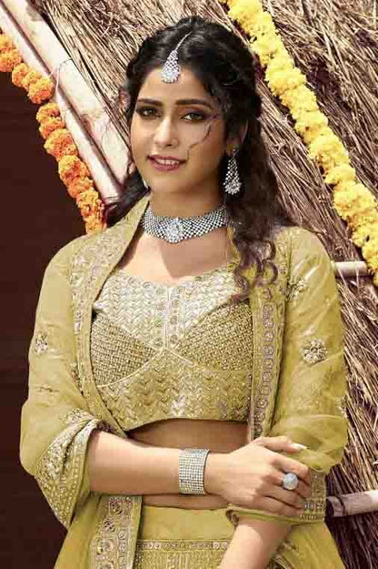 Green Colour Velvet Resham Work Lehenga Choli LC1080130 A
