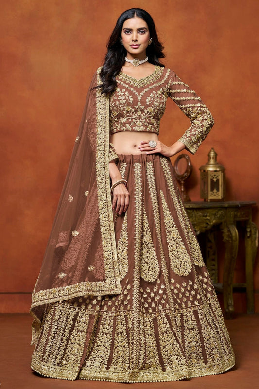 Light Brown Colour Net Lehenga Choli LC1050648