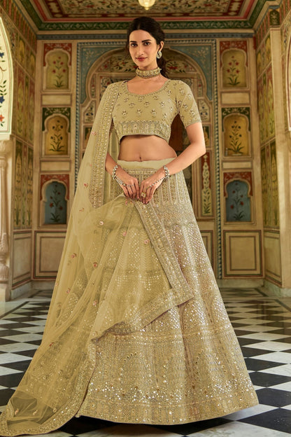 Light Green Colour Embroidery Organza Lehenga Choli LD1080815