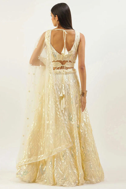 Light Yellow Colour Soft Net Lehenga Choli LC1010303 1