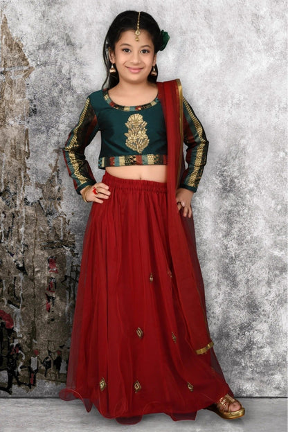 Maroon Colour Net Embroidery Lehenga Choli GW1070047