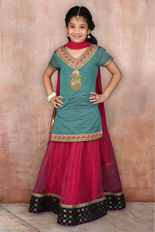 Pink Colour Net Embroidery Lehenga Suit GW1070042