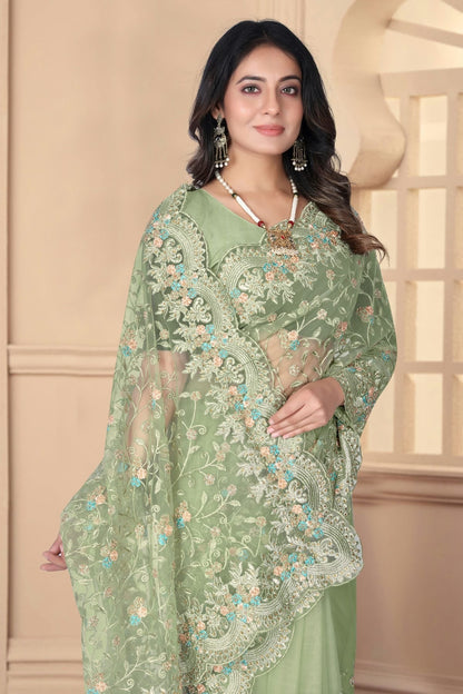 Pista Green Colour Net Designer Saree SD1091087 A