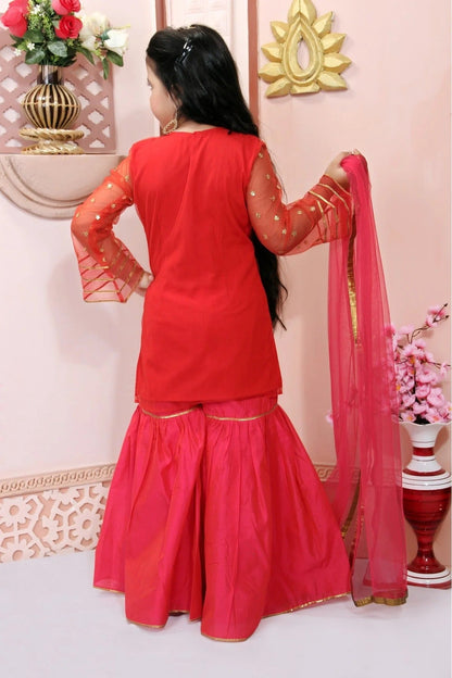 Red Colour Net Embroidery Sharara Suit GW1070029 B