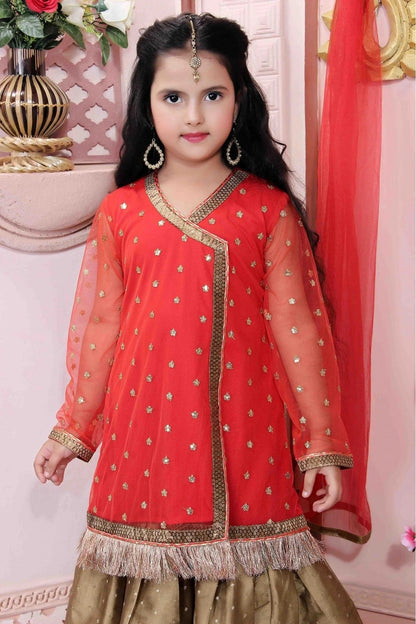 Red Colour Net Party Wear Sharara Suit GW1070014 B