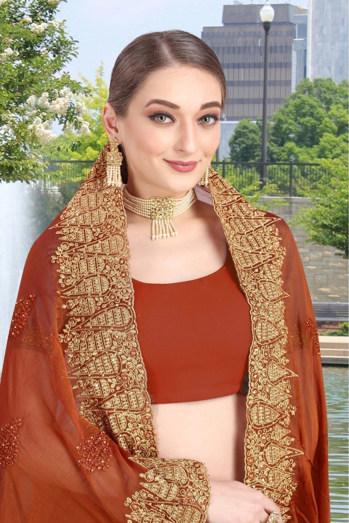 Rust Colour Chiffon Embroidery Saree SD1120767 A