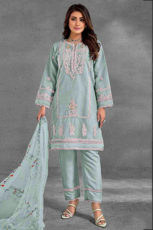Sky Blue Colour Organza Pakistani Suit SM1140819