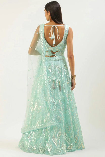 Sky Blue Colour Soft Net Lehenga Choli LC1010300 1